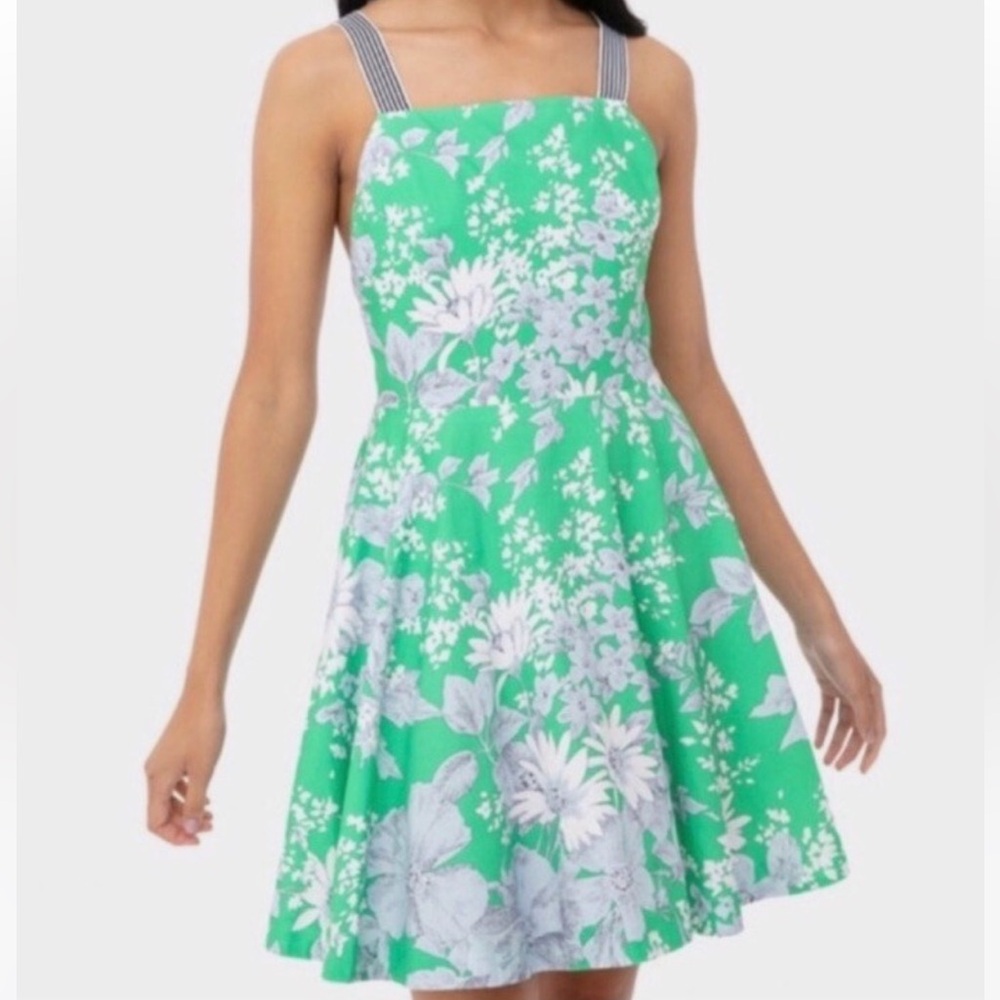 NWT Tuckernuck Lila Apron Floral Green Dress XS